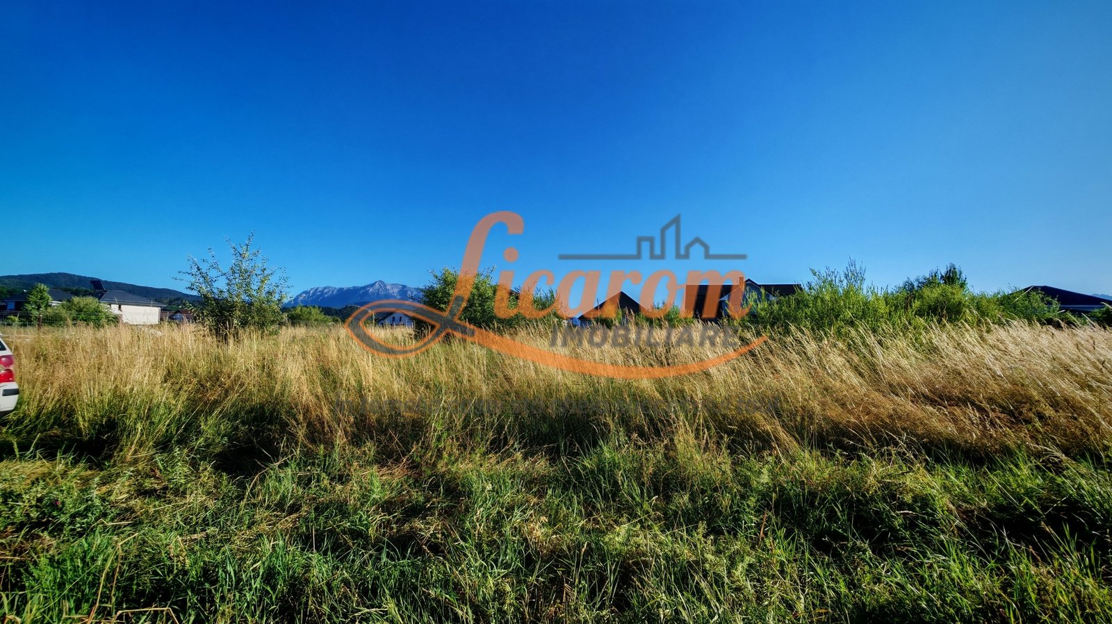 1e49f403cf604888905f62fe6b01668d-1