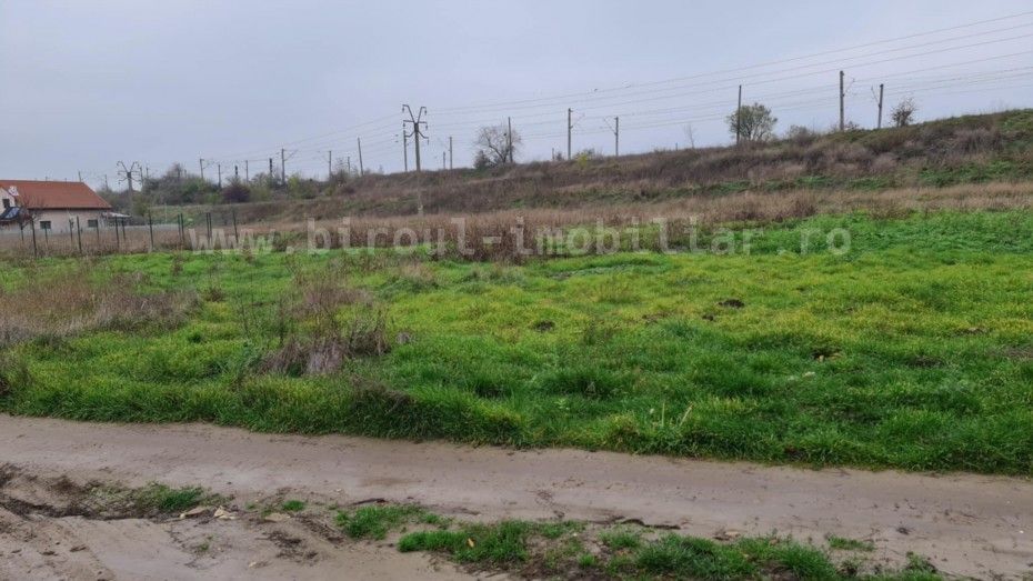 Teren Intravilan 5.000 mp – Perfect pentru Parc Fotovoltaic, Hale sau Lotizare