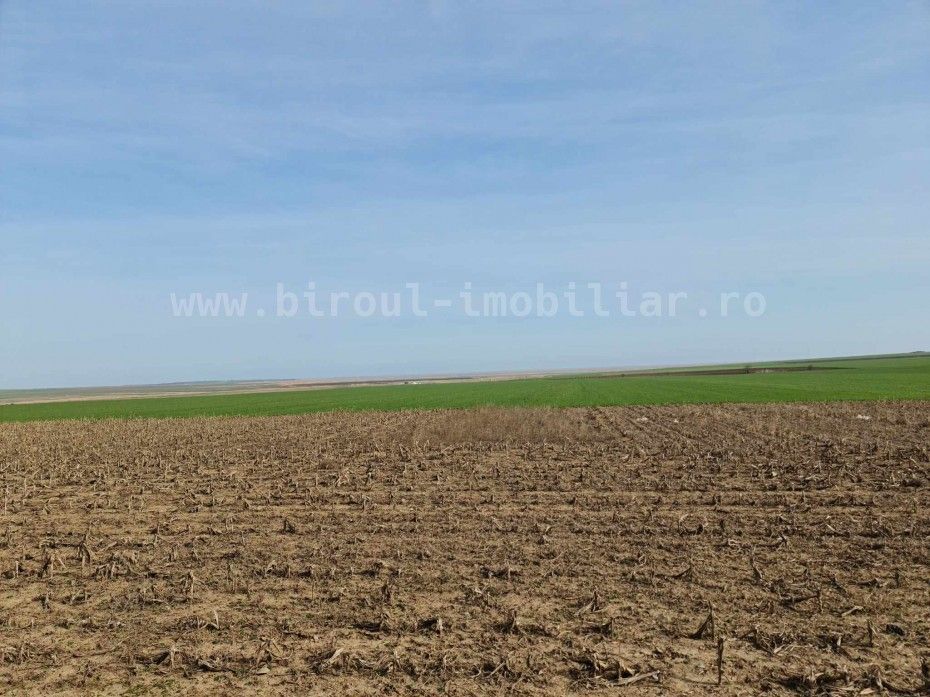 Vânzare teren agricol comasat direct la Soseaua  Istria – Sinoe