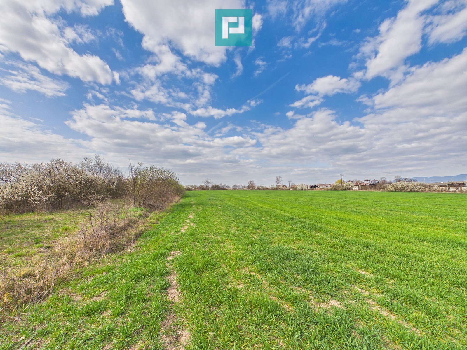 613db73294114d23a404a171ac93446f