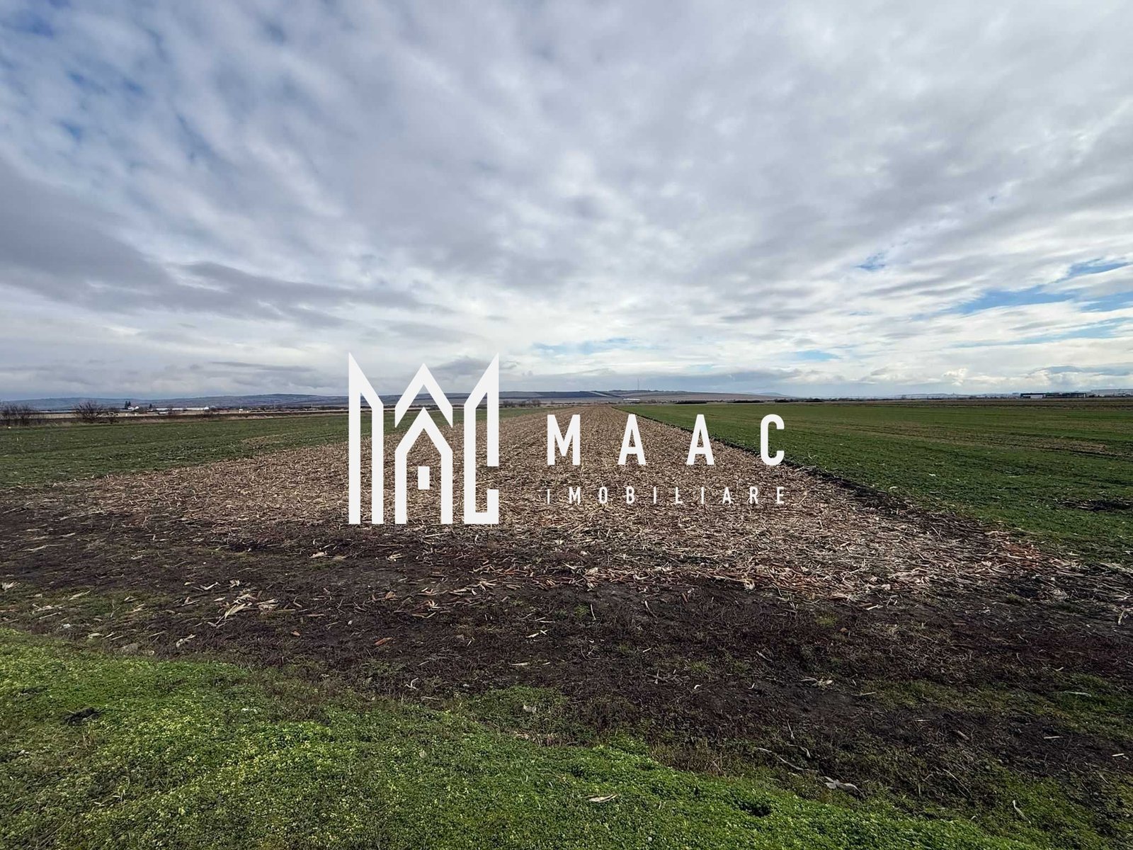 74fa7b406bc74a75a1239da08665291e