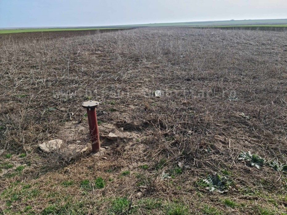 Vânzare teren agricol comasat direct la Soseaua  Istria – Sinoe