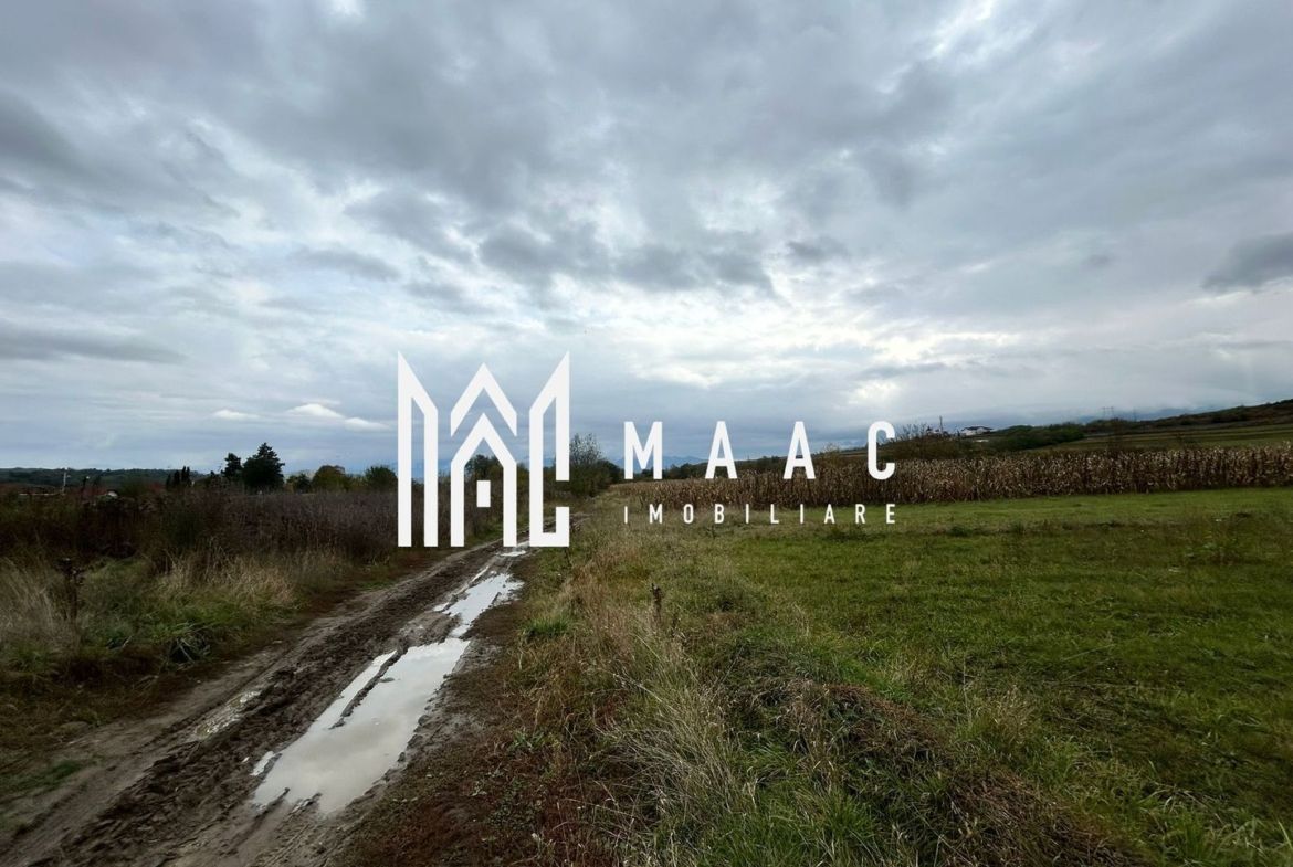 Teren | 3700 mp | Deschidere la DN | Intrare Vestem – Sibiu