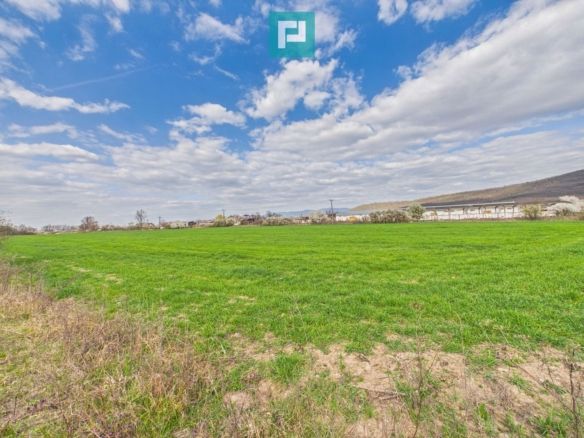 Teren extravilan, 1 ha, în orașul Sebiș, Arad