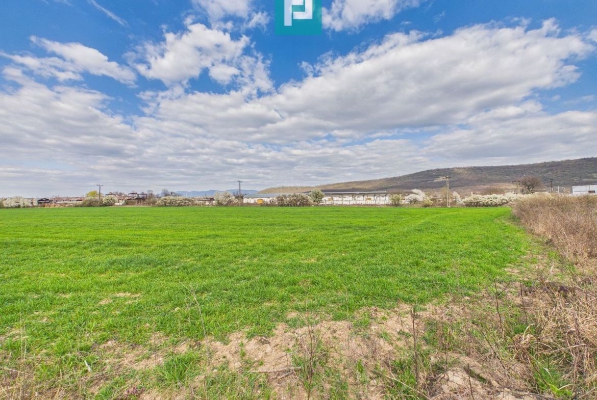 Teren extravilan, 1 ha, în orașul Sebiș, Arad