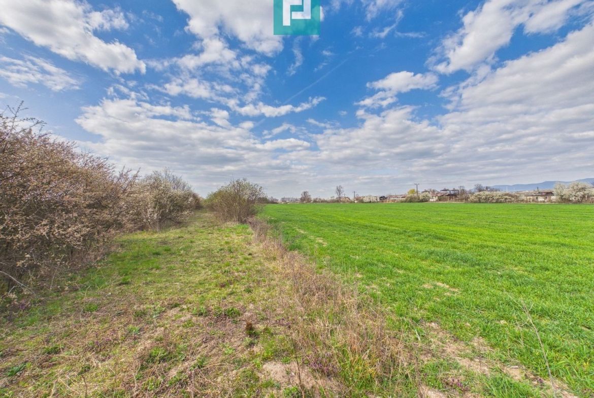 Teren extravilan, 1 ha, în orașul Sebiș, Arad