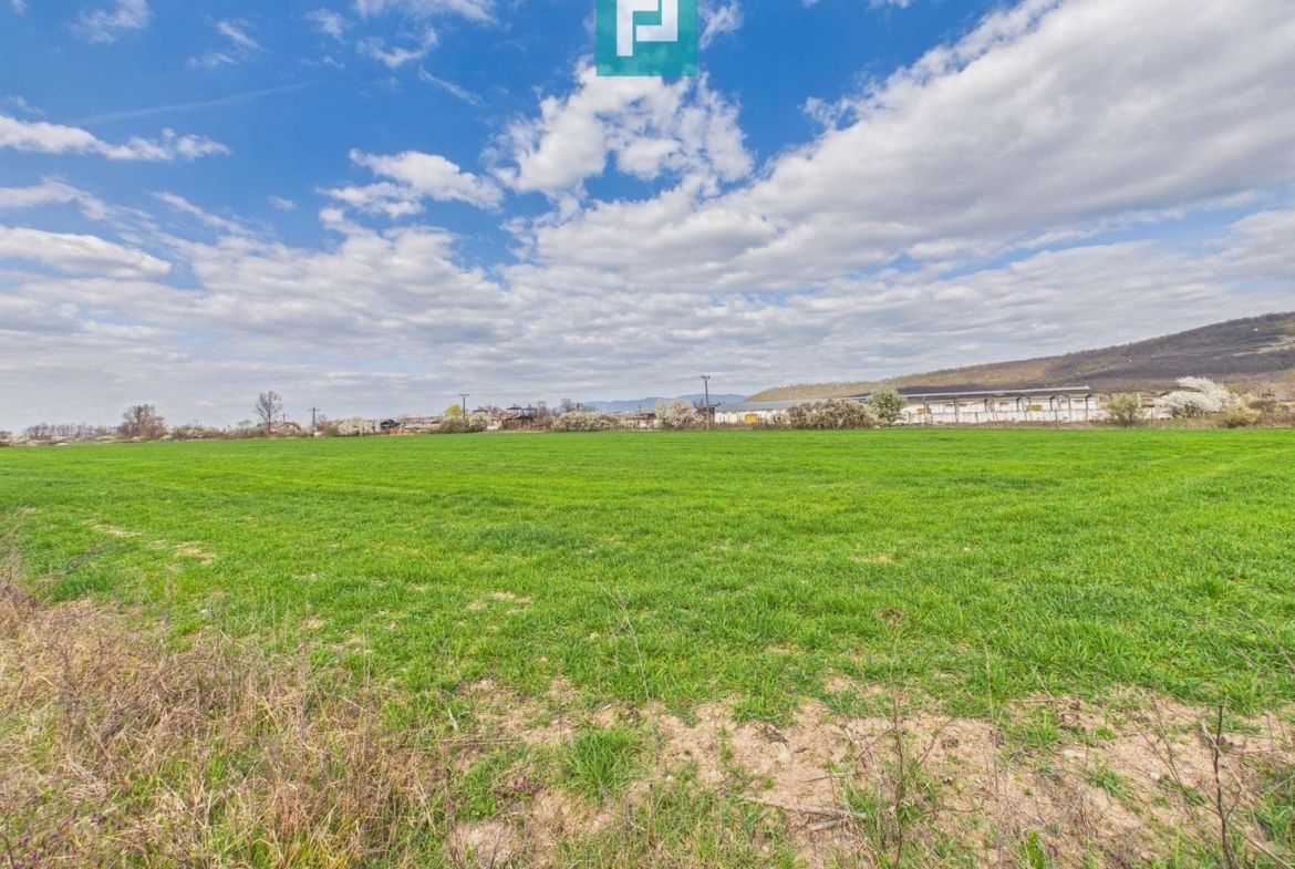 Teren extravilan, 1 ha, în orașul Sebiș, Arad