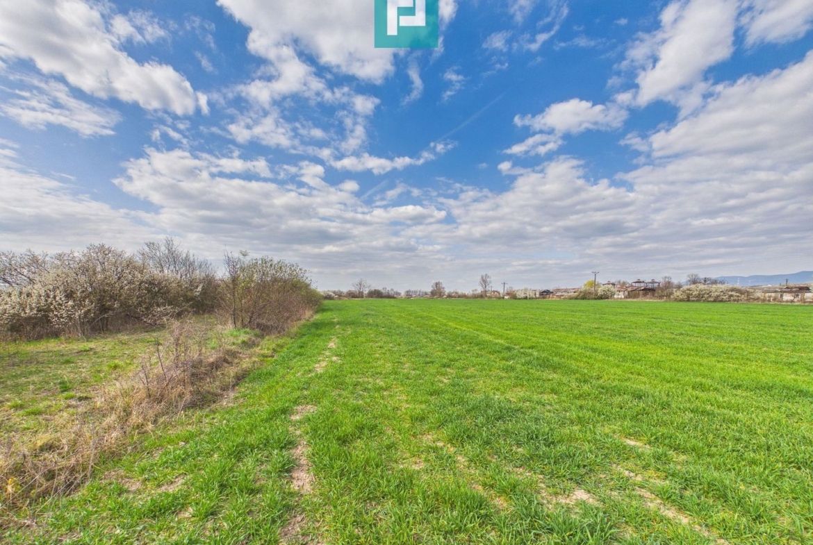 Teren extravilan, 1 ha, în orașul Sebiș, Arad