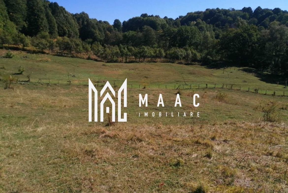 Teren Extravilan 20.000Mp I Stoenești -Vâlcea I Apă Curentă și Pădure