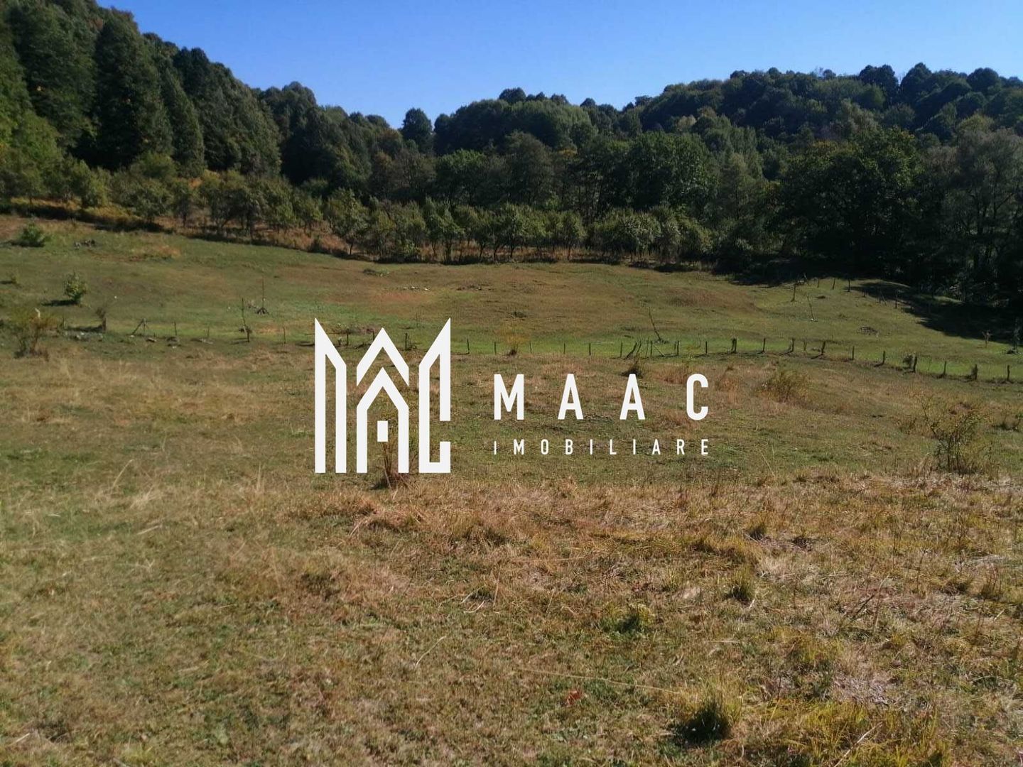 anBn-9935 Teren Extravilan 20.000Mp I Stoenești -Vâlcea I Apă Curentă și Pădure