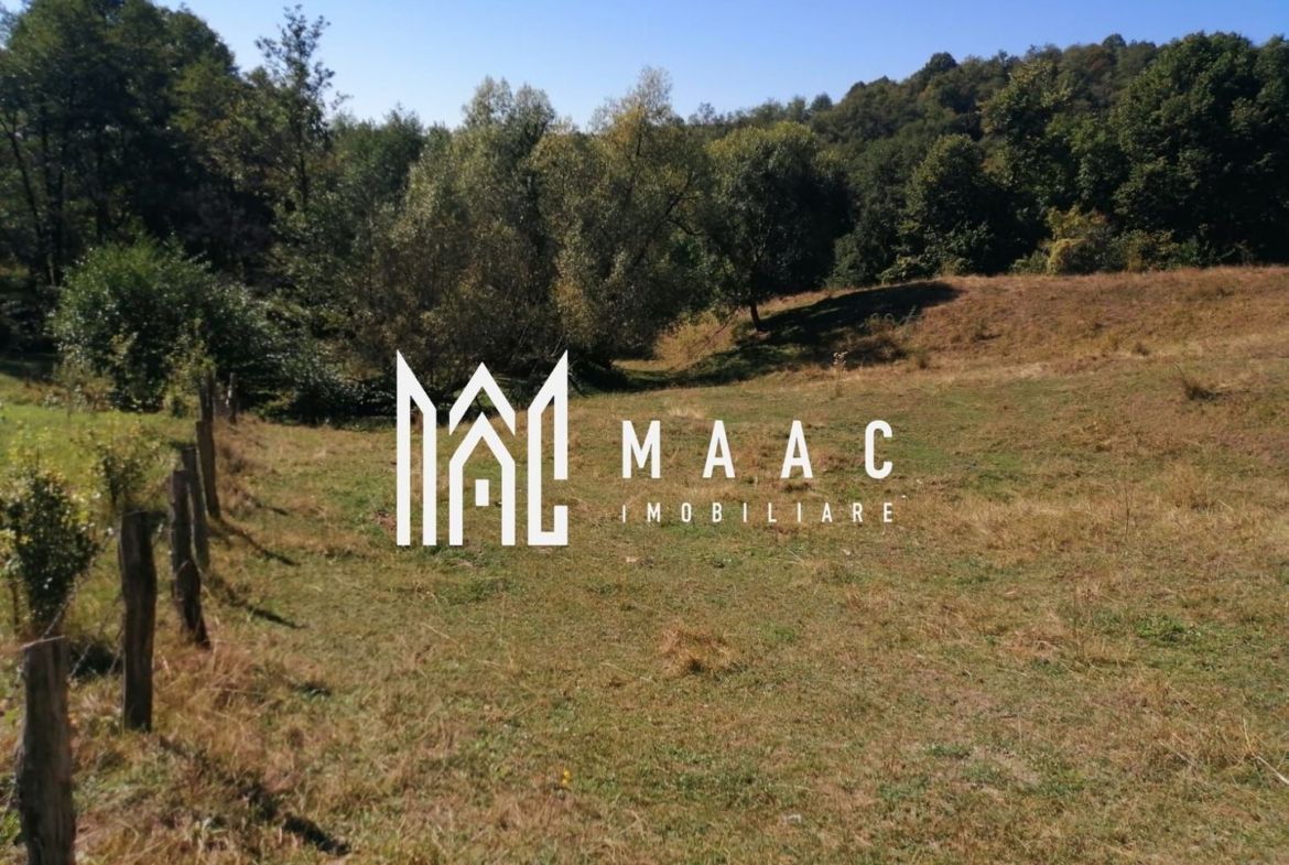 Teren Extravilan 20.000Mp I Stoenești -Vâlcea I Apă Curentă și Pădure