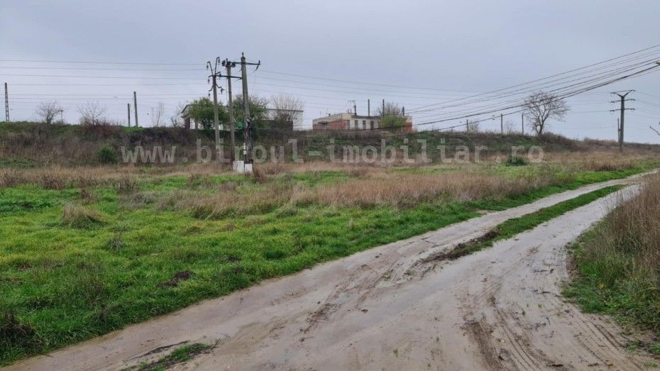 Teren Intravilan 5.000 mp – Perfect pentru Parc Fotovoltaic, Hale sau Lotizare