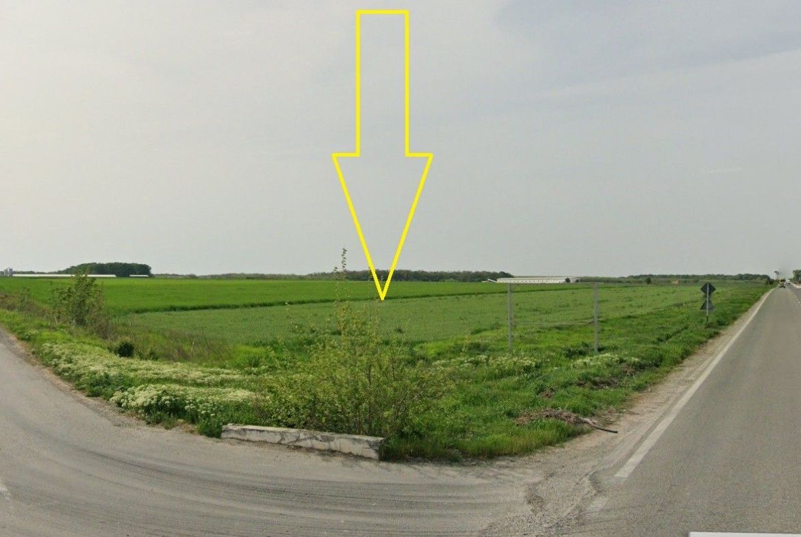 Teren Intravilan 4,5 ha – Poziție Strategică vis-à-vis de Aeroportul MK