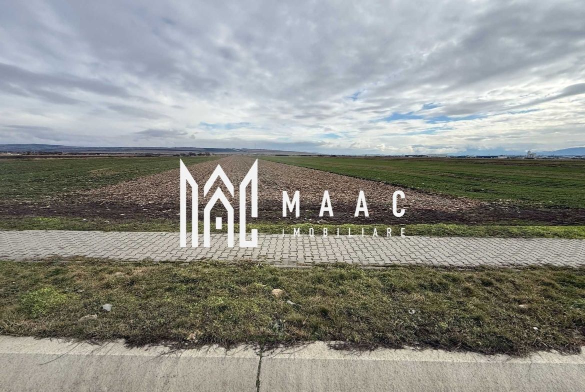 Teren intravilan | 9600 mp | Șură Mică | Utilități | Drum Asfaltat