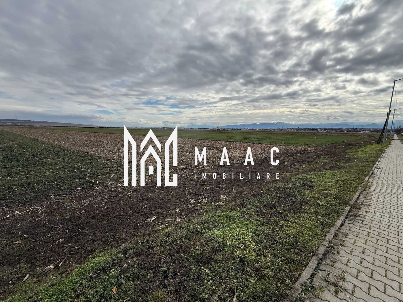 Teren intravilan | 9600 mp | Șură Mică | Utilități | Drum Asfaltat