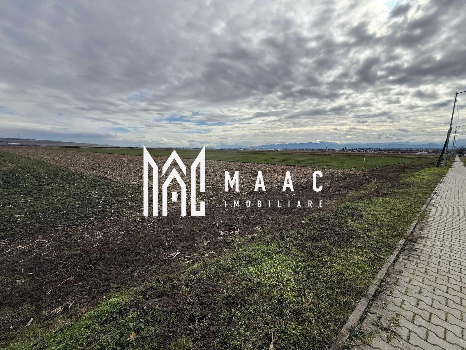 d278e3ba26ee4a3bae6fda58e3e7fafc