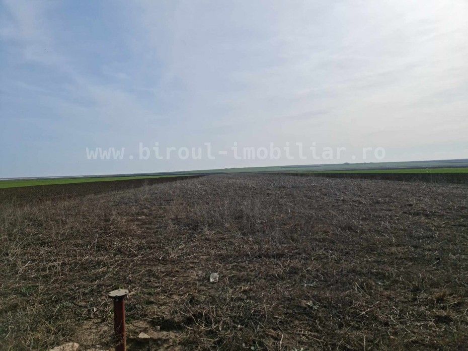 Vânzare teren agricol comasat direct la Soseaua  Istria – Sinoe