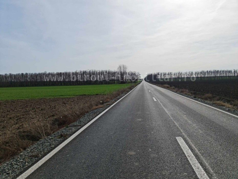 Vânzare teren agricol comasat direct la Soseaua  Istria – Sinoe
