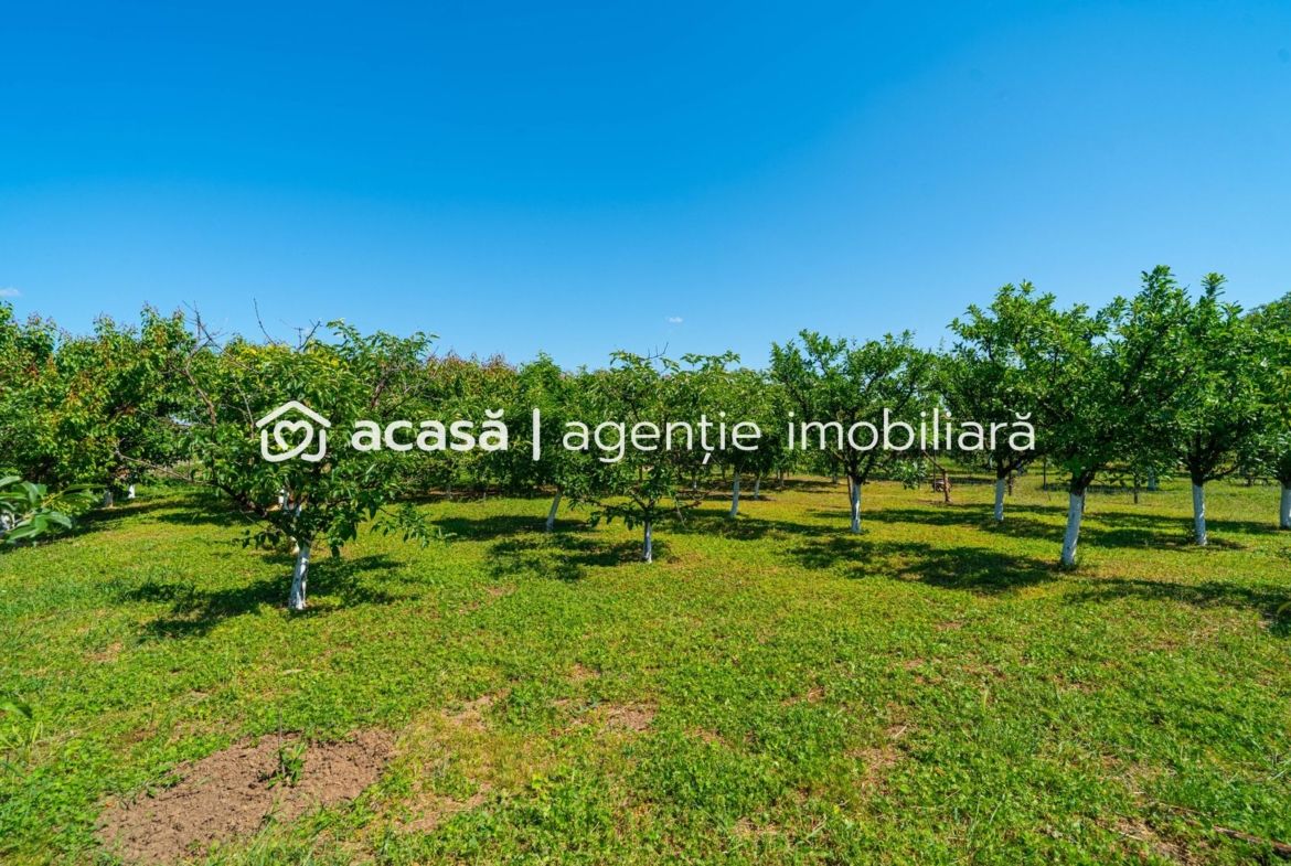REZERVAT -Casă spațioasă cu teren generos în Felnac – la 18 km de Arad