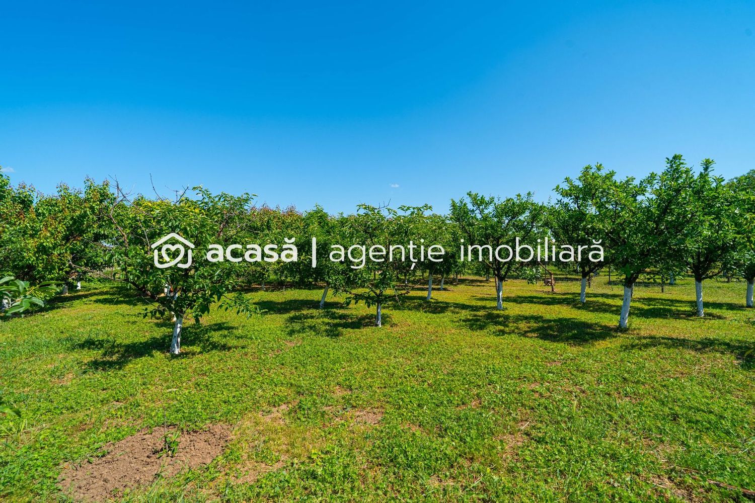 REZERVAT -Casă spațioasă cu teren generos în Felnac – la 18 km de Arad
