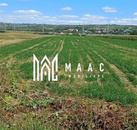Teren 500 MP | Oportunitate de investiție | Extravilan | Mohu