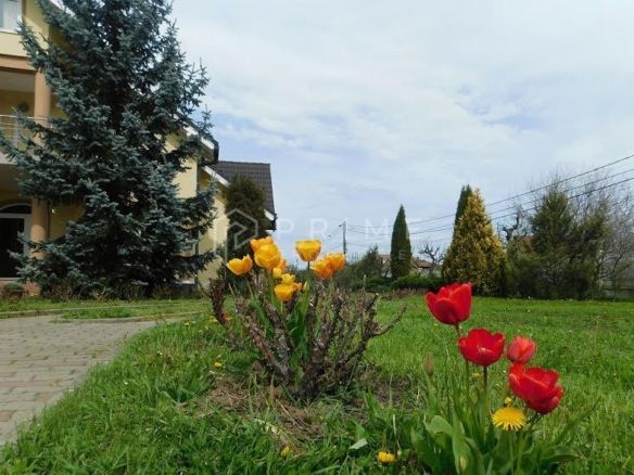 Reședință de lux cu potențial comercial –zonă Băi, Sângeorgiu de Mureș