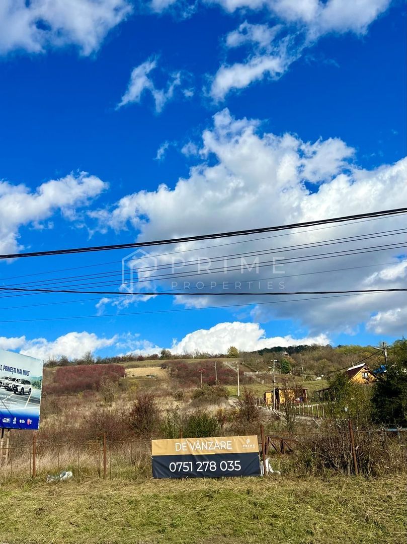 Teren cu potențial multiplu de dezvoltare – Corunca, E60, 17.000 mp