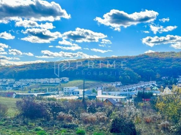 Teren cu potențial multiplu de dezvoltare – Corunca, E60, 17.000 mp
