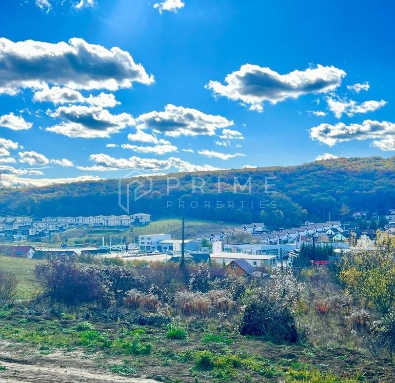 Teren cu potențial multiplu de dezvoltare – Corunca, E60, 17.000 mp