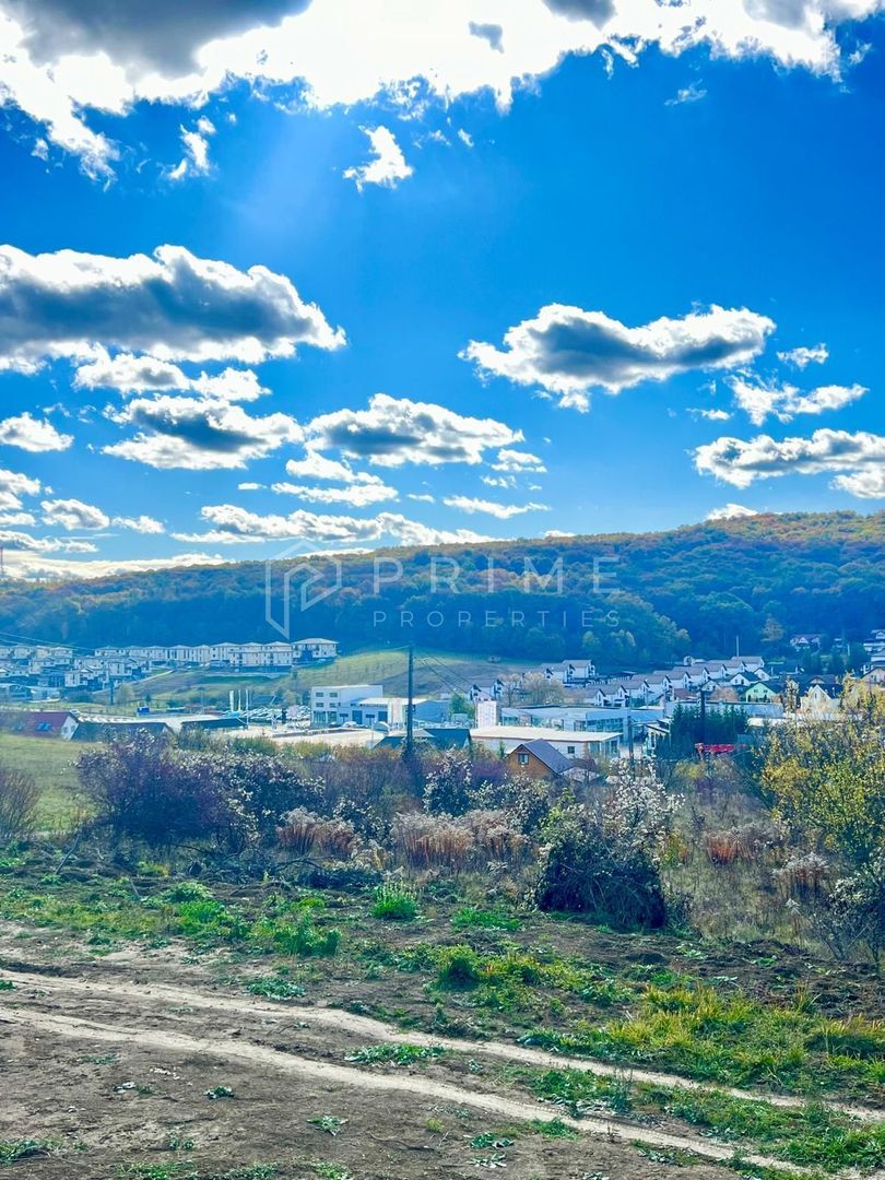 Teren cu potențial multiplu de dezvoltare – Corunca, E60, 17.000 mp