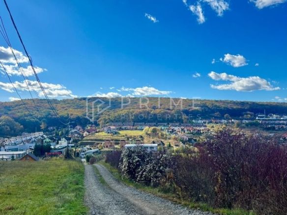 Teren cu potențial multiplu de dezvoltare – Corunca, E60, 17.000 mp