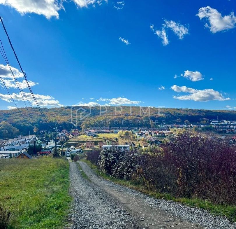 Teren cu potențial multiplu de dezvoltare – Corunca, E60, 10.000 mp