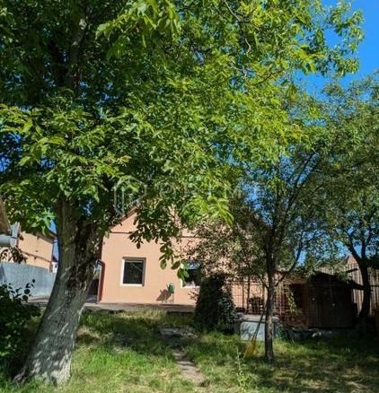 Clădire multifuncțională de vânzare sau închiriere – 7 Noiembrie