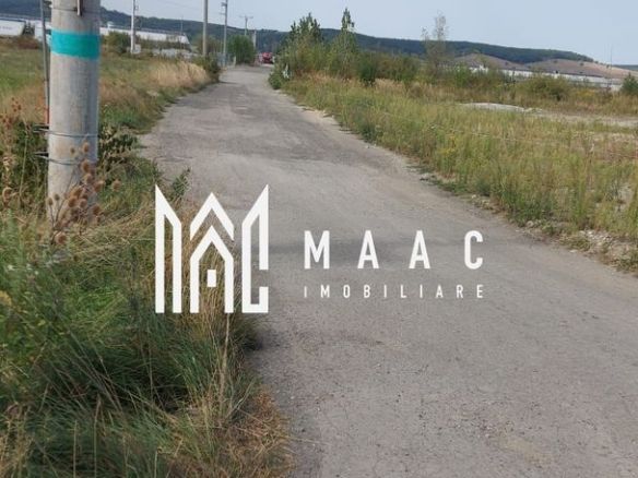 Teren | 10,000 MP | Extravilan | Posibilitate de parcelare | Cristian