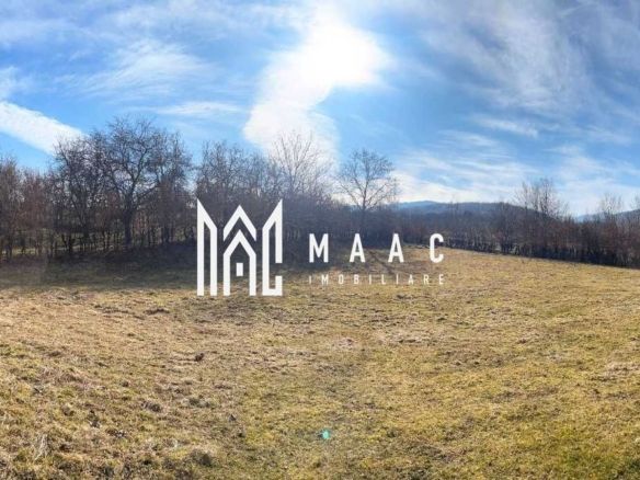 Teren intravilan I 2300mp I Zona Rasinari
