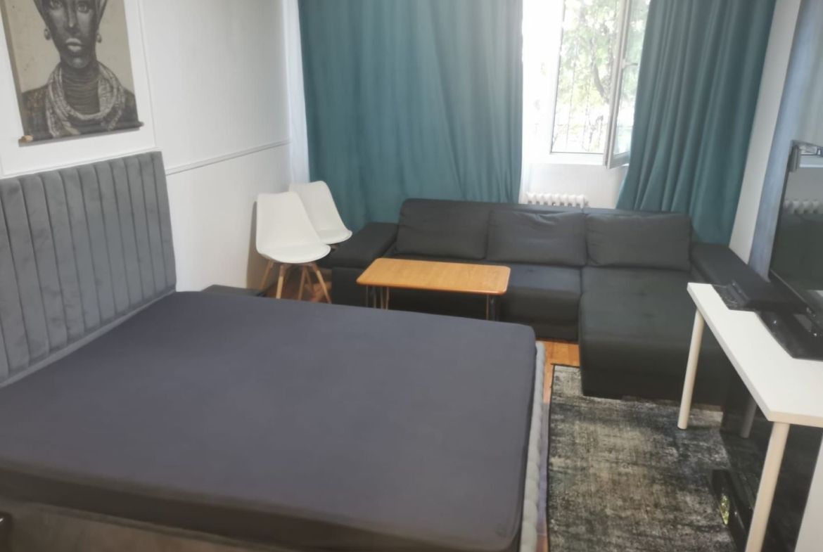 Apartament 1 camera, micro 40