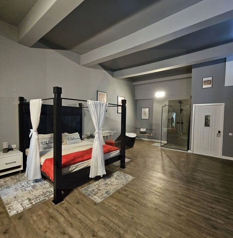 Garsoniera regim hotelier sau spatiu comercial 46 mp utili Terezian