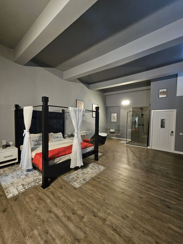 Garsoniera regim hotelier sau spatiu comercial 46 mp utili Terezian