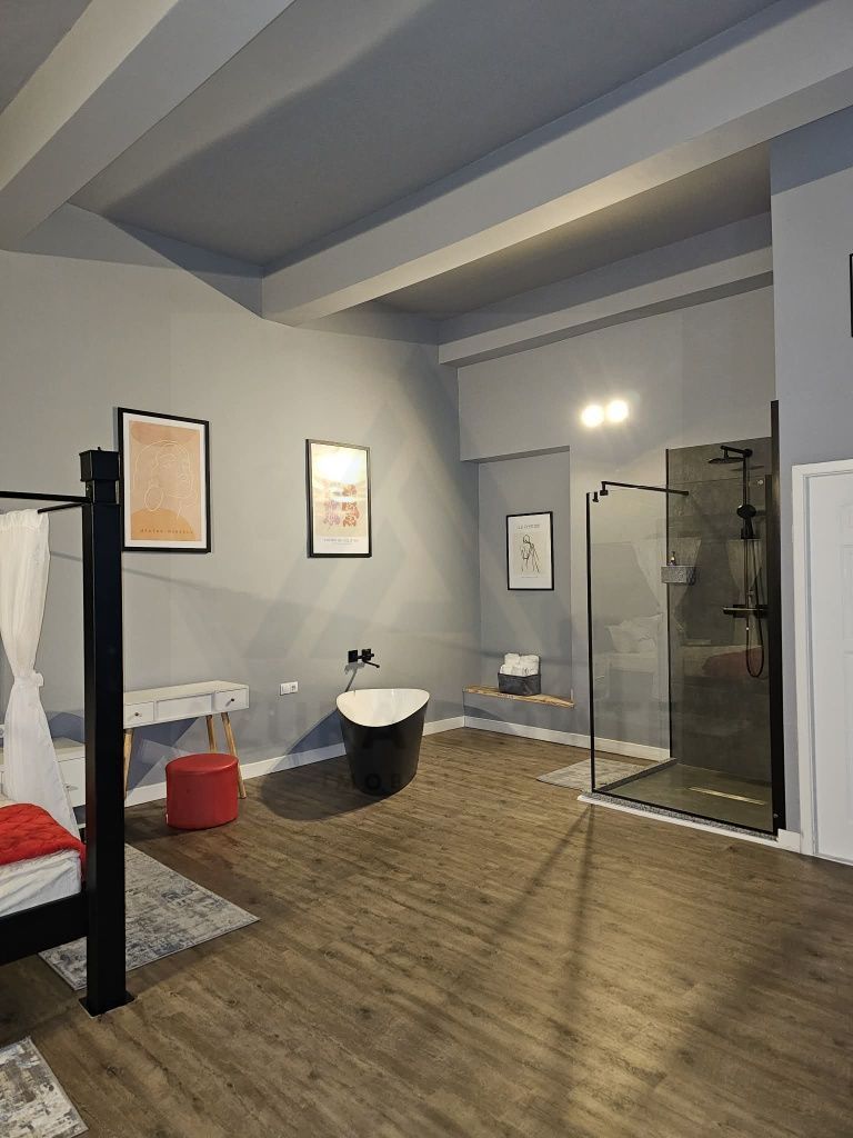 Garsoniera regim hotelier sau spatiu comercial 46 mp utili Terezian