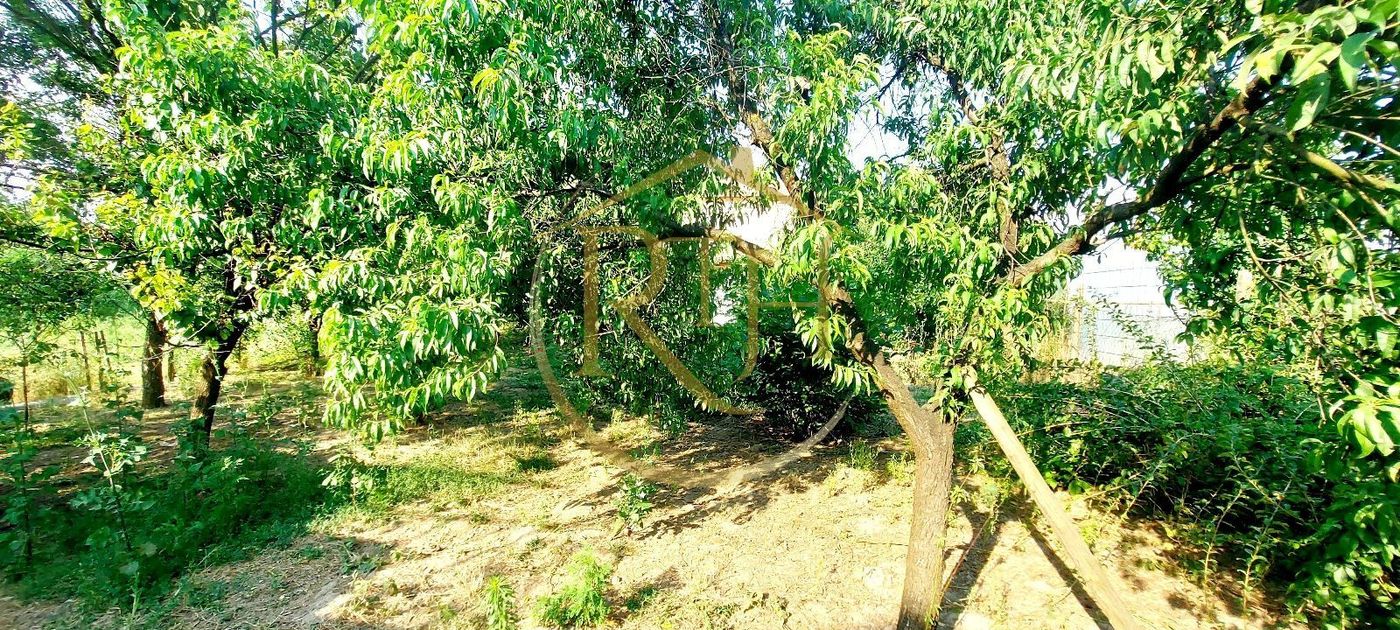 Oferim spre vanzare casa, 6camere, 162mp utili,809mp teren,in Giroc 0% Comision