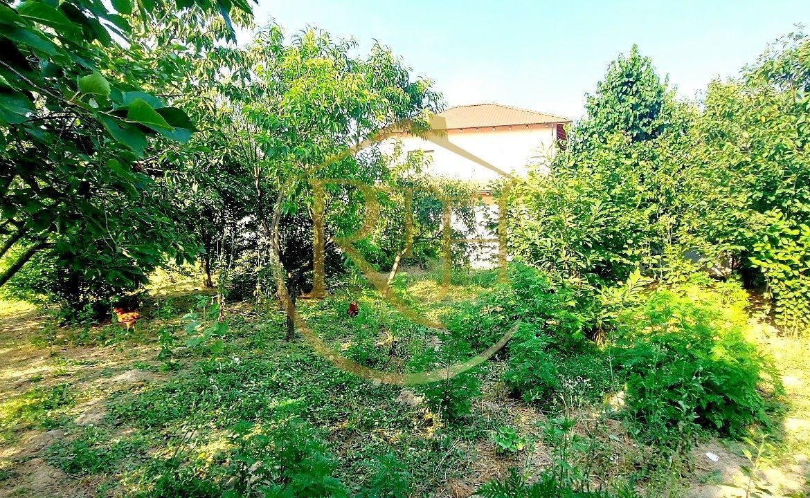 Oferim spre vanzare casa, 6 camere, 162mp utili, 809mp teren, in Giroc