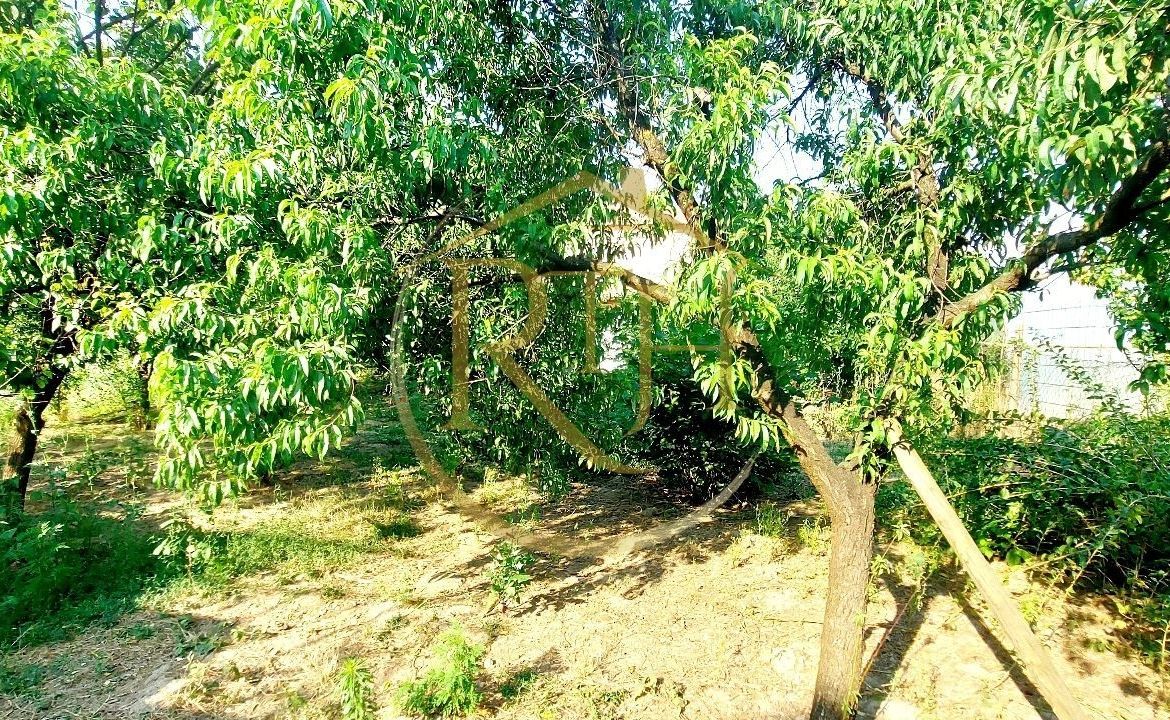 Oferim spre vanzare casa, 6 camere, 162mp utili, 809mp teren, in Giroc