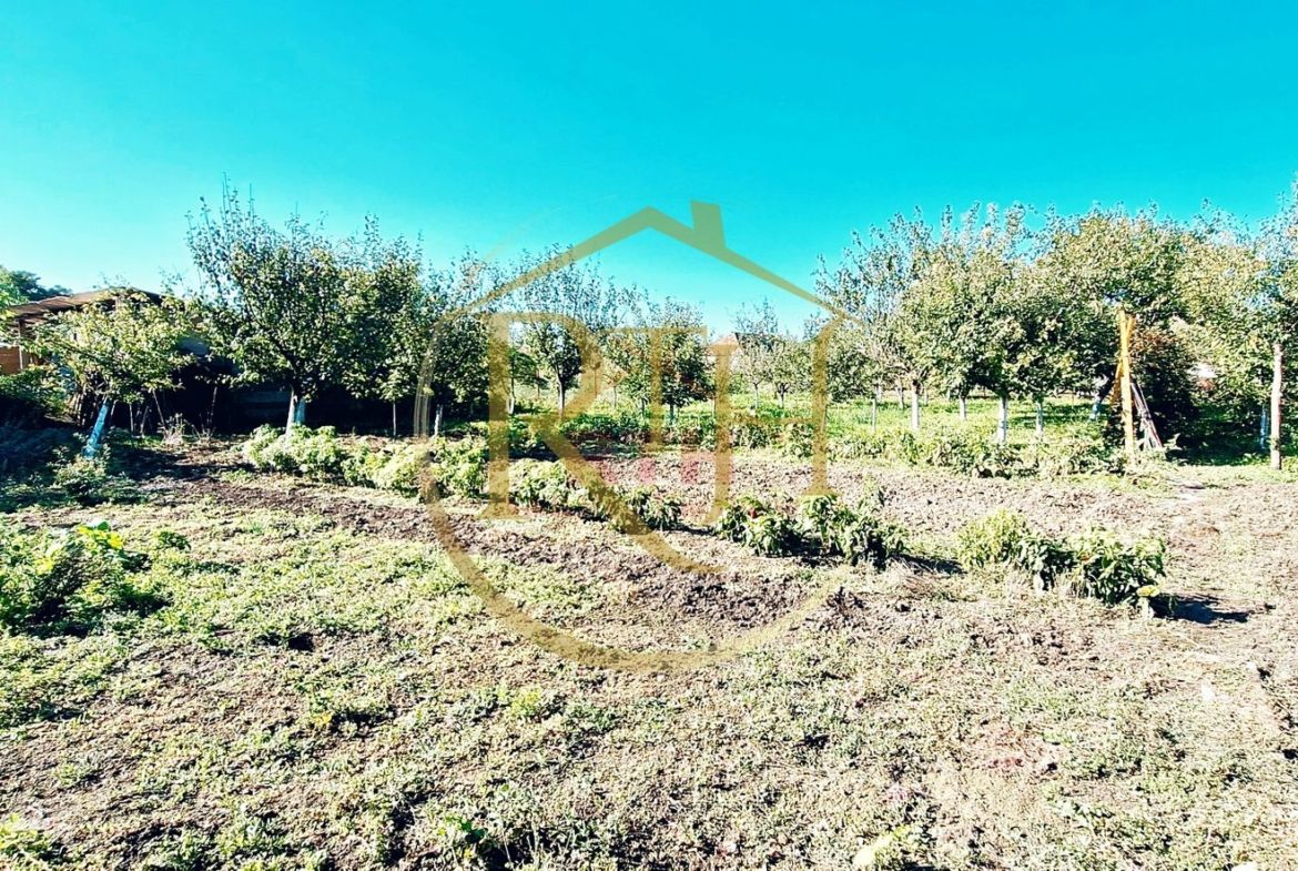 Casa cu 5 camere, teren 1500 mp, Beregsau Mare 0% Comision pentru cumparator