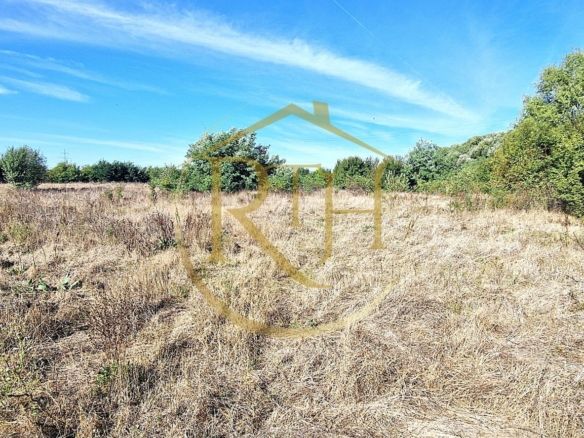 Teren de vânzare – 11.273 mp – zona Plopi, Timișoara Sud.