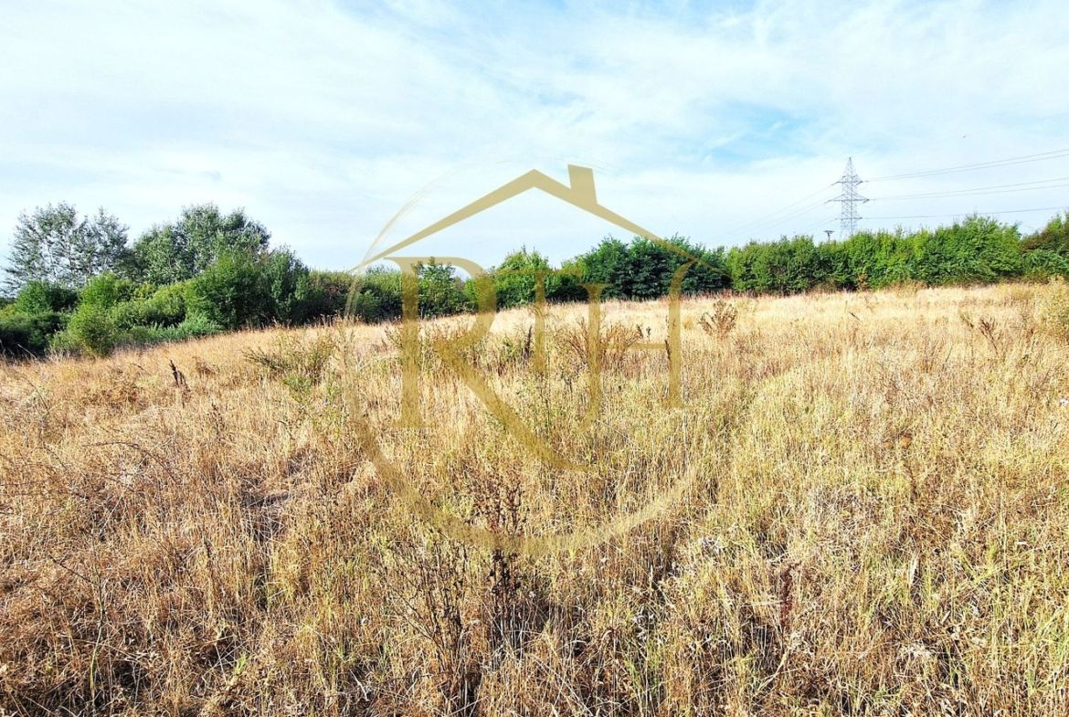 Teren de vânzare – 11.273 mp – zona Plopi, Timișoara Sud.