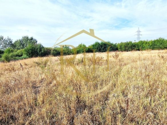 Teren de vânzare – 11.273 mp – zona Plopi, Timișoara Sud.