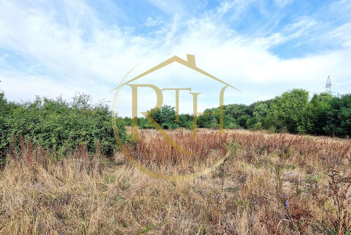 Teren de vânzare – 11.273 mp – zona Plopi, Timișoara Sud.