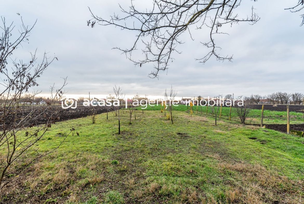 Casă + curte 2.500 mp în Dorobanți