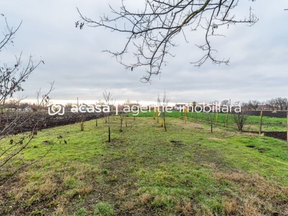 Casă + curte 2.500 mp în Dorobanți