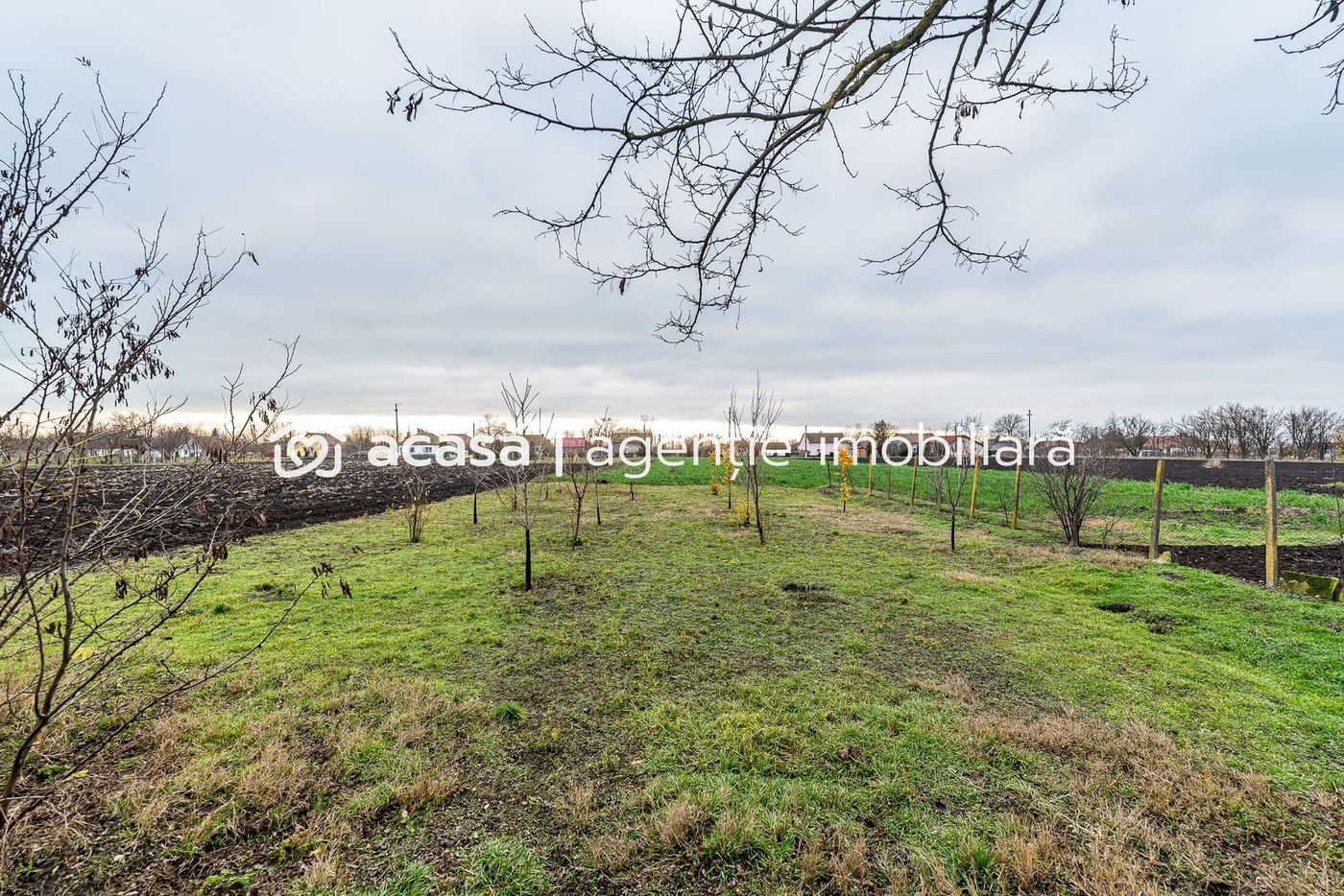 Casă + curte 2.500 mp în Dorobanți